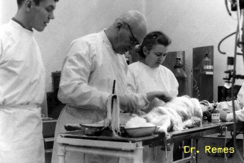 Kutyaműtét 1972-ben a Pavlov Intézetben - forrás: Dr. Remes